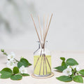 JAPAN ESSENCE REED DIFFUSER HIBISCUS 150ML